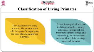 Classification and Distribution of Living Primates (E-pgp)