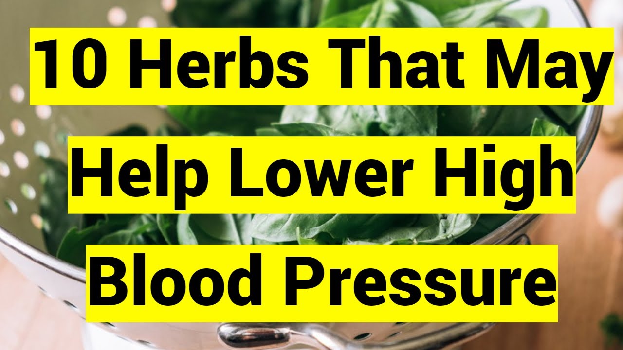 10 Herbs That May Help Lower High Blood Pressure YouTube