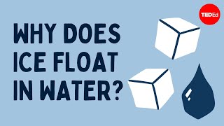 Why does ice float in water?  George Zaidan and Charles Morton