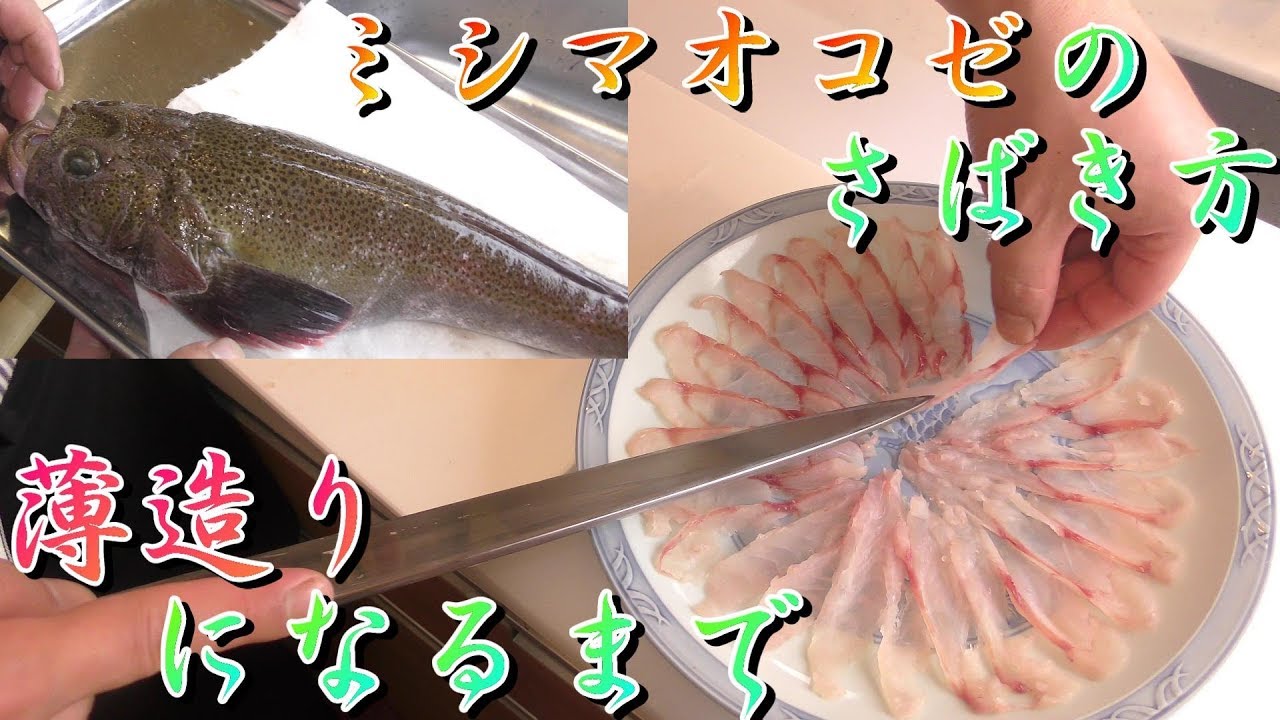 ミシマオコゼとは 特徴的な見た目の魚の特徴や美味しい食べ方をご紹介 暮らし の