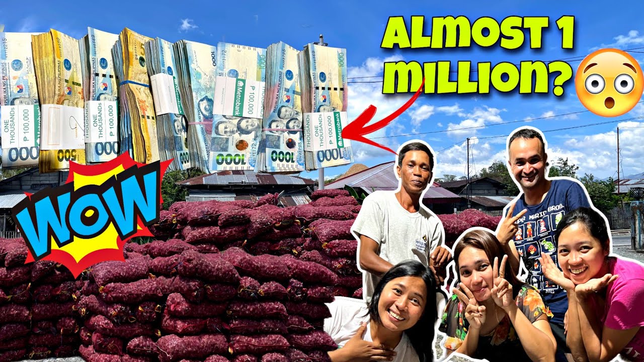 EP-376 | Income and expenses reveal sa sibuyas magkano ba? | Harvest and Sell | Buhay Magsasaka