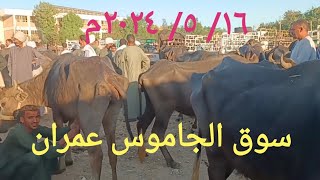 أول مرة حتشوفو الجاموس ده بسوق الخميس اليوم ١٦/ ٥/ ٢٠٢٤م