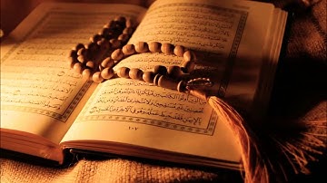 سورة الإخلاص بصوت الشيخ ميثم التمار 🌺