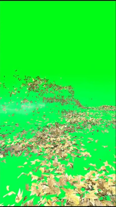 Green screen angin puting bliung