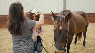 Lockwood Park: Equine-Assisted Learning Demo