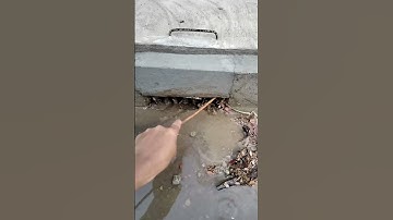 Drain Rain Water To Culvert #unclog #culvert #shorts