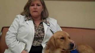 Liz the Therapy Dog was Honored with the Memorial Angel Award