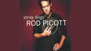 Video thumbnail of "Rod Picott - Stray Dogs"