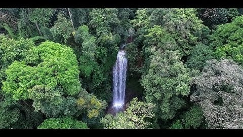 S VIET NAM VTV1 - VẺ ĐẸP THÁC ĐAMBRI KIÊU SA HÙNG VĨ (Baoloccapital)