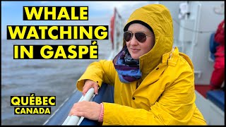 Whale Watching in Gaspé | Québec, Canada Road Trip 🐳