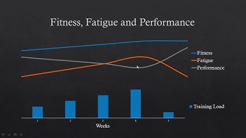 The Fundamentals of Tapering and Peaking for Performance | What, Why & How