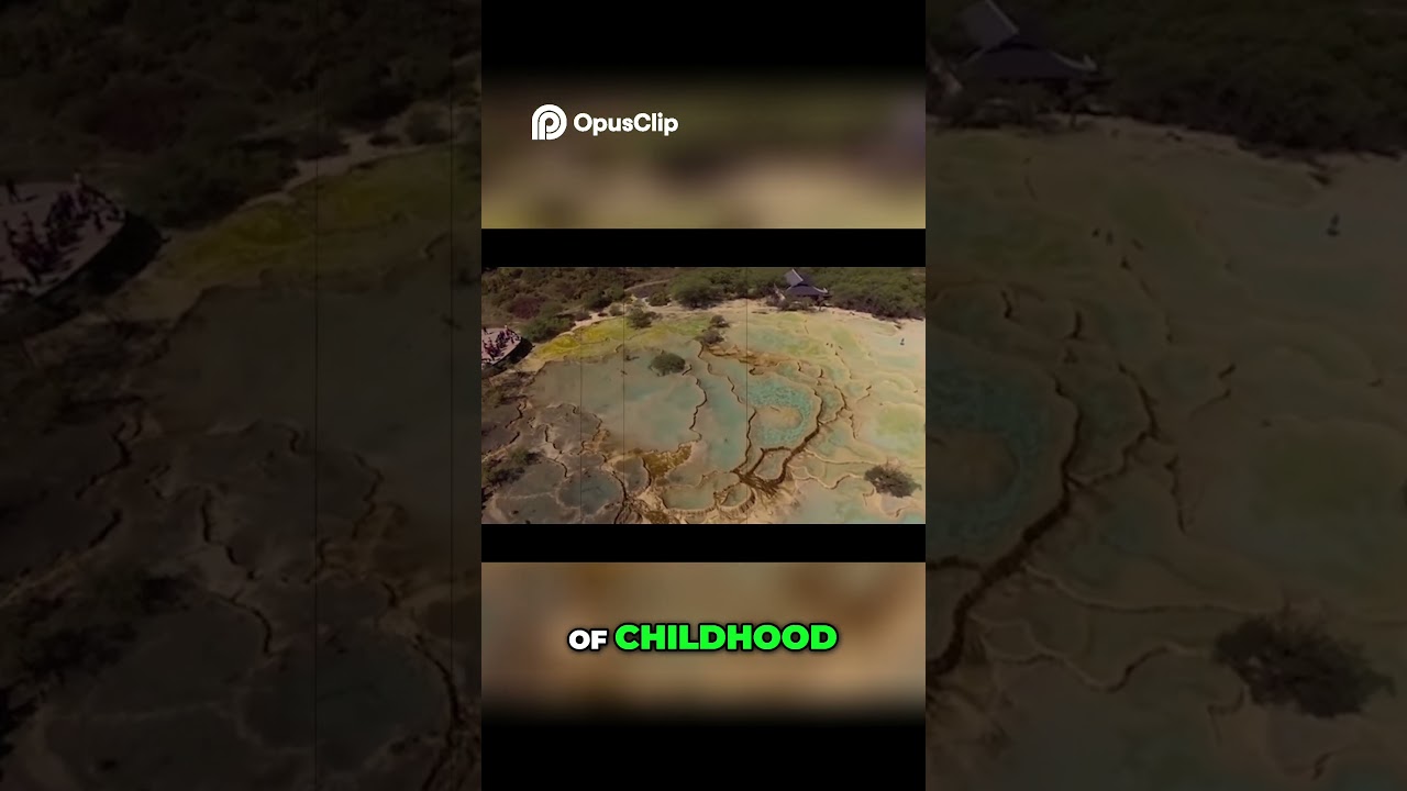 How Childhood Shapes Us  The Power of Epigenetics 