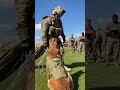 Watch This K9 Ride a Full Jump Down to the Airfiel