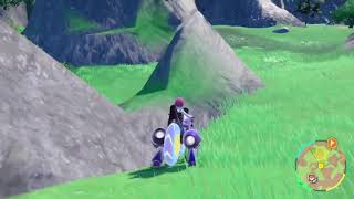 Fittle Our Only Guide