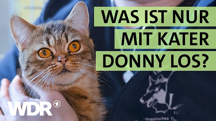 Kranke Katze mit unklaren Symptomen und sichergestellter Hund | S03/E01 | Hallo Tierheim | WDR