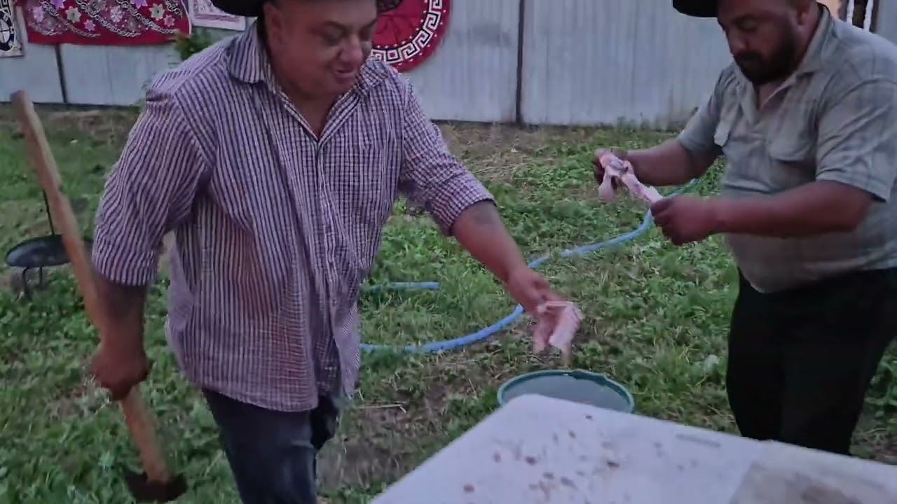 LA UN CIAUN ȚIGĂNESC 