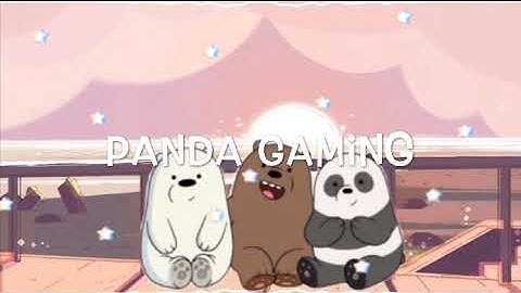 Panda Gaming 🐼  INTRO 🐼