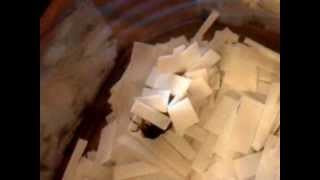 Caddisfly making a PTFE (Teflon) case