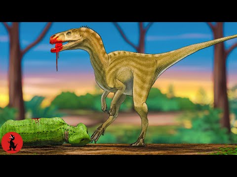 First Carnivorous Dinosaur