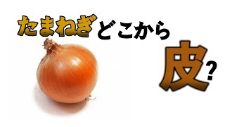 【たまねぎ】ってどこまでも皮じゃね【にじさんじ　＃フミ】