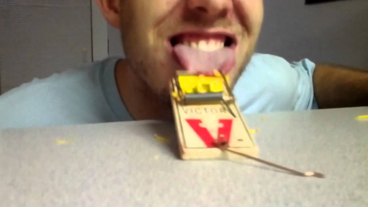 Jackass Mousetrap