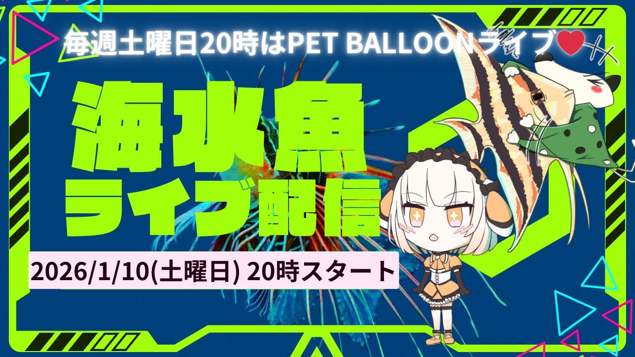 海水魚コーナーライブ配信！！1月10日（土）20時から！！ペットバルーン (Pet Balloon) | アクアリウム 熱帯魚