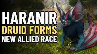 Haranir Druid Forms Showcase | All Bear, Cat & Travel Form Customizations in WoW: Midnight Beta