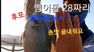 후포방파제 낚시