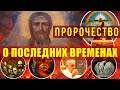 Протоиерей Николай Рогозин. Важные пророчества последних времен. Жизнеописание