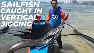 SAILFISH CAUGHT IN VERTICAL JIGGING (MALASUGI)