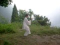 Wudang Tai Chi by Lucia Ring-Watkins, disciple of Yuan Li Min 袁理敏弟子表演武当太极