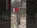 когда клиент не всегда прав #музыка #любимпеть #песня#мем