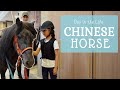 Day in the life of a chinese horsekk china