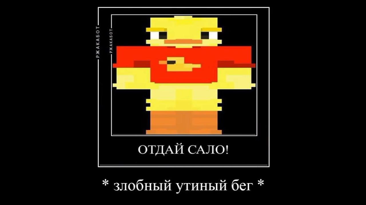 Утёнок Джек - YouTube