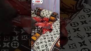 _Kalo main kabel, bulunya megar kayak ayam mau tarung,. #catshorts #mozzamam #catvideos #kucinglucu