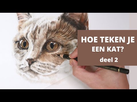 Video: Hoe Om 'n Kat Se Gesig Te Teken