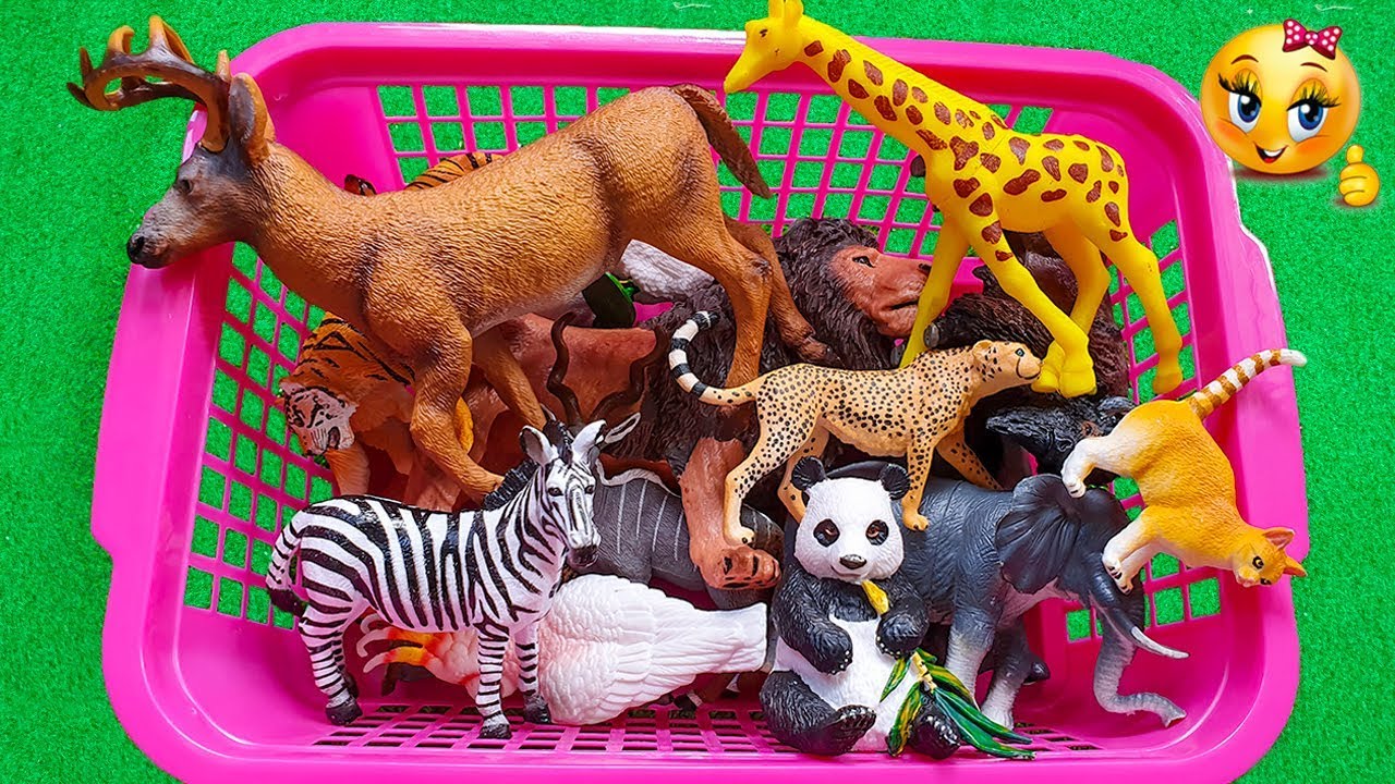 Mainan Hewan  Lucu Binatang  Anak yang Tinggal di Hutan 