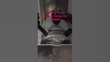 Cryo Microtomy