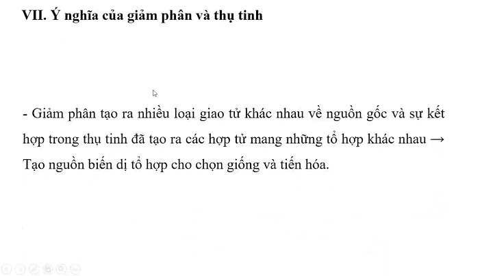 Học bổ túc văn hóa cấp 1 quận 1 năm 2024