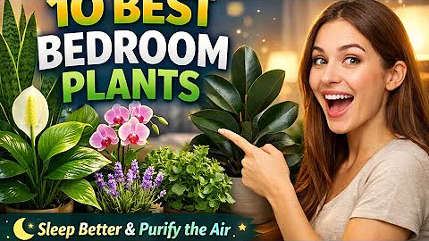  Best Plants for Your Bedroom: Sleep Better with These Air-Purifying Beauties