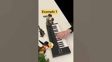 Thumbnail of What is a Melody in Music? 🤔