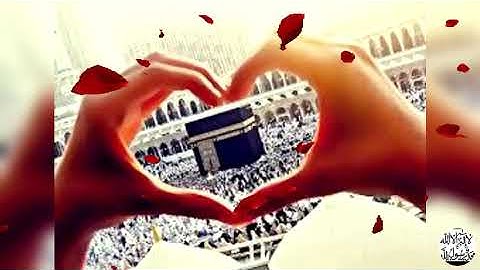 قرأن كريم سورة النساء بصوت القارئ عبد الرحمن مسعد 🤍
