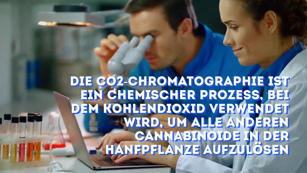So wird CBD Isolat hergestellt