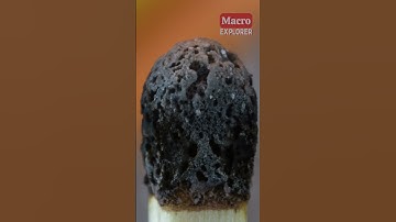 Lighting a Match Close-Up!  #closeup #macro #asmr #zoom