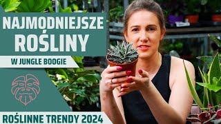 Najmodniejsze Rośliny Tej Wiosny  Poznaj Roślinne Trendy