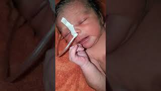 Newborn baby lot of crying all video without any stop nosal and oxygen tube in his nose