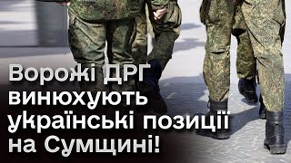 ❗❗ На кордоні Сумщини "кишить" від ворожих ДРГ! Винюхують позиції українських сил!