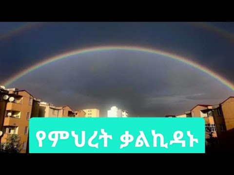 ቪዲዮ: የፀሃይ ኩራት የቲማቲም መረጃ፡ የፀሃይ ኩራት የቲማቲም እፅዋትን እንዴት እንደሚያሳድጉ