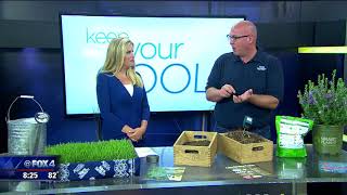 Tips for Lawn care during Hot Weather Triple Digit Heat