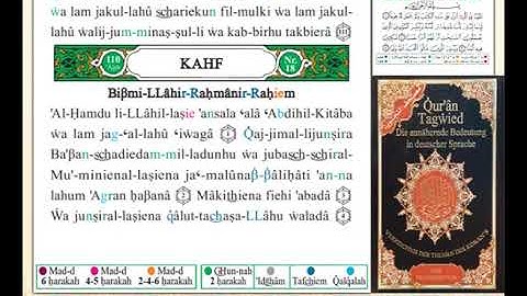 ختمة من مصحف التجويد باللغة الألمانية الصفحة رقم 293